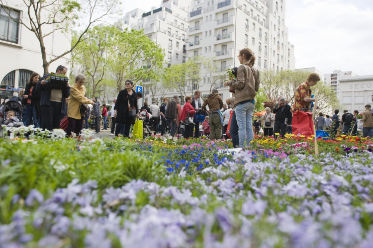 Marché aux plantes : Une touche de nature en ville Marché aux plantes : Une touche de nature en ville
